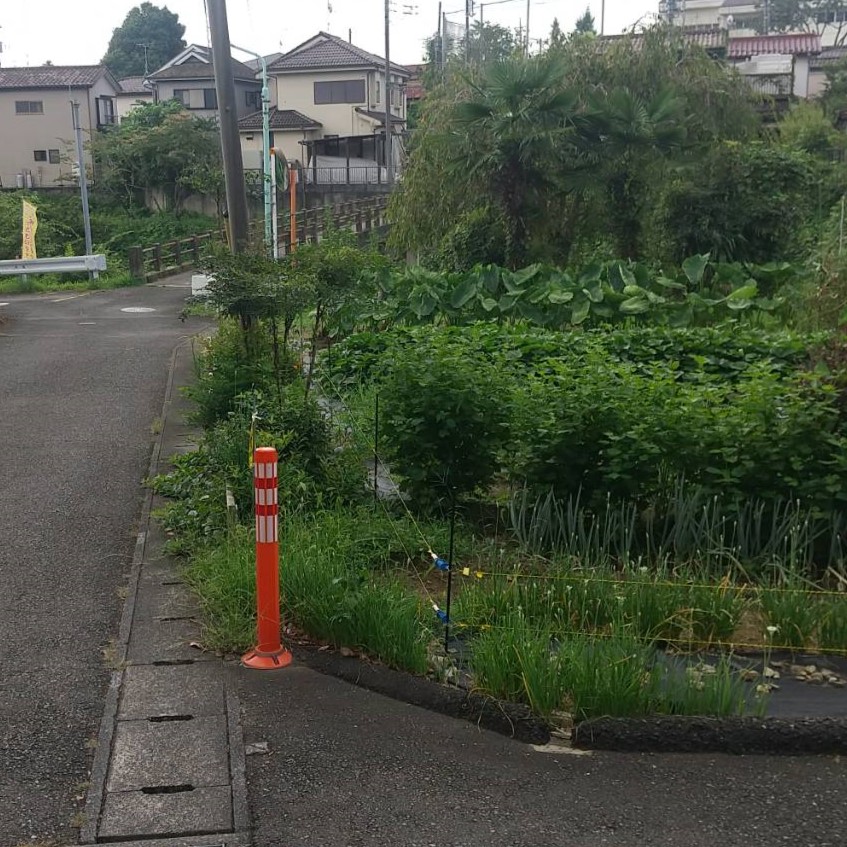 一般道の事績画像